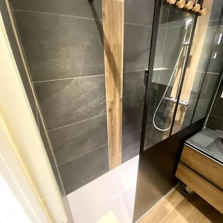 Apartment Appt Cosy Au Centre Chamonix